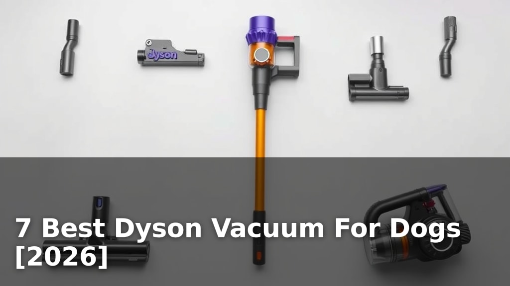 7 Best Dyson Vacuum For Dogs [2026]