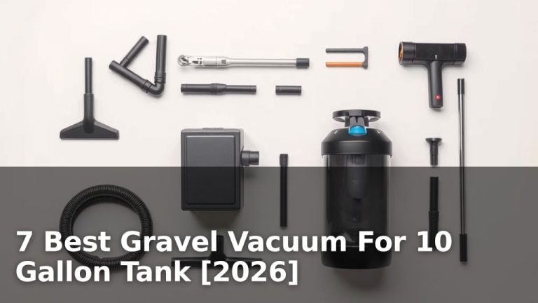 7 Best Gravel Vacuum For 10 Gallon Tank [2026]
