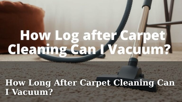 How Long After Carpet Cleaning Can I Vacuum?