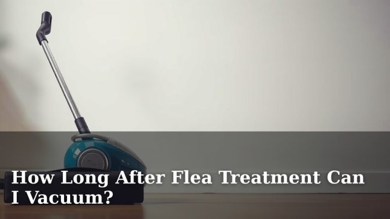 How Long After Flea Treatment Can I Vacuum?