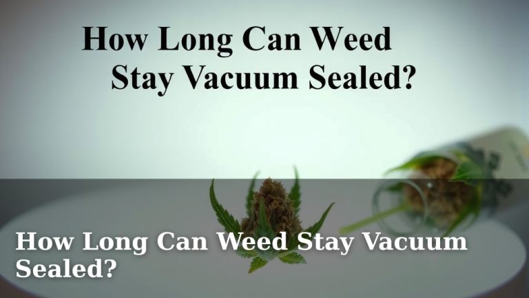 How Long Can Weed Stay Vacuum Sealed?