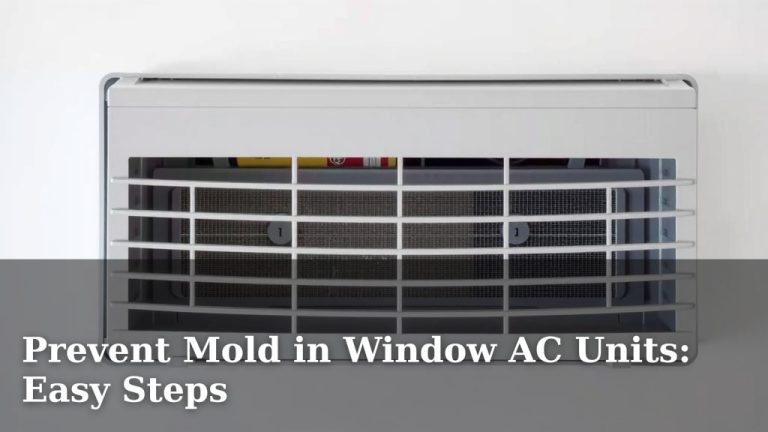 Prevent Mold in Window AC Units: Easy Steps